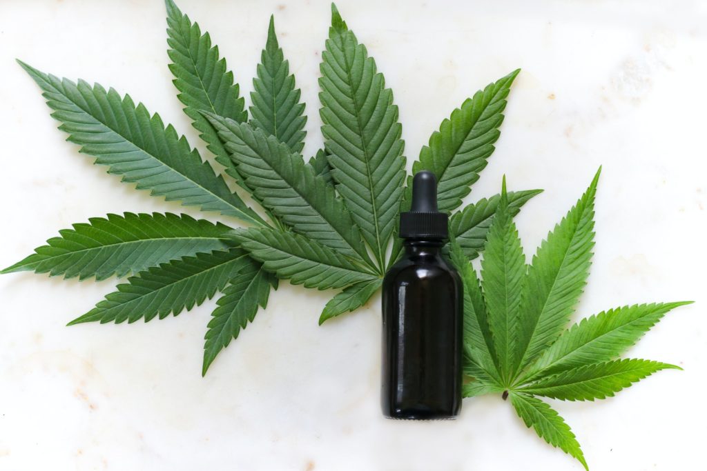 Une fiole de CBD est posée sur trois feuilles de cannabis